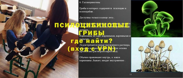 молекула духа Алексин