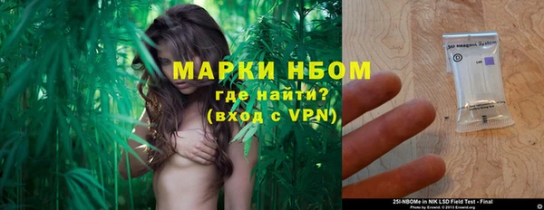 молекула духа Алексин