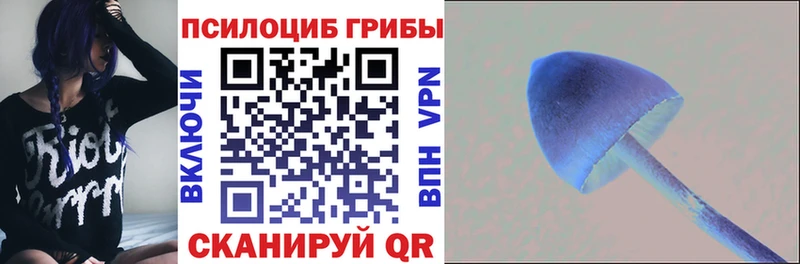 Псилоцибиновые грибы ЛСД купить наркотики сайты Конаково